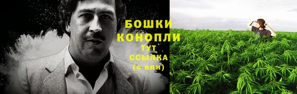 амф Магадан