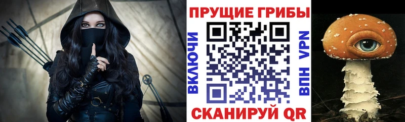 Галлюциногенные грибы Psilocybe  blacksprut онион  Кяхта 