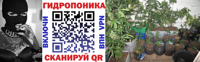 Марихуана конопля  Кяхта 